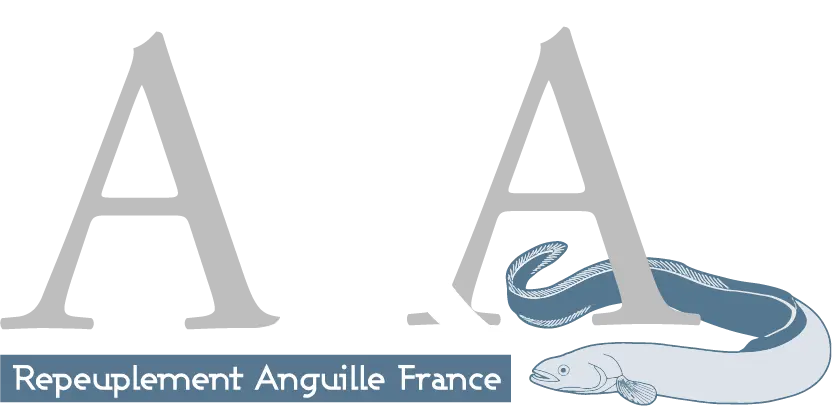 Repeuplement Anguille France   |   ARA France